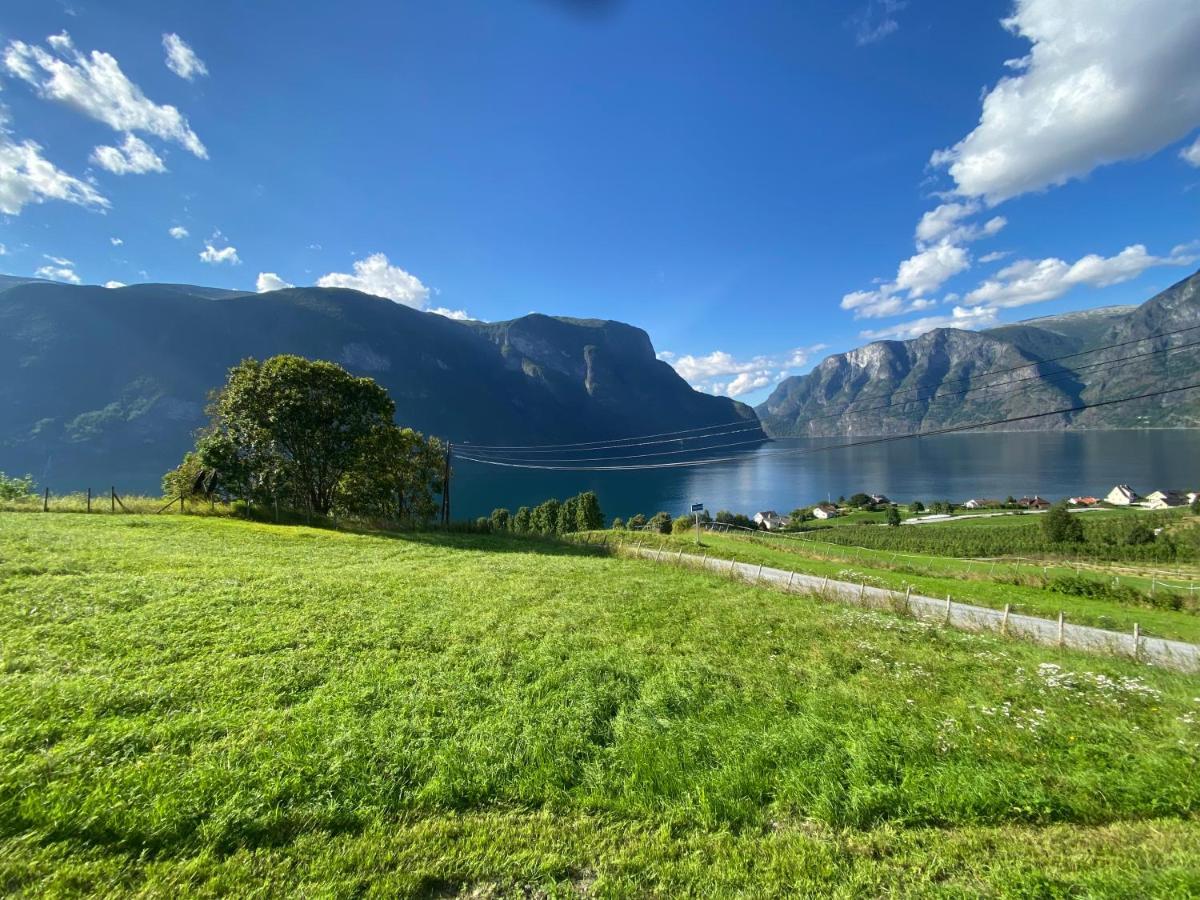 Winjum Hostel Stegastein Aurland Ngoại thất bức ảnh